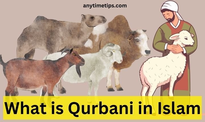 what is qurbani in islam